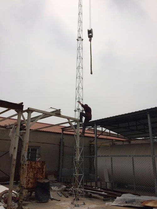 景县12米煤矿避雷塔厂家