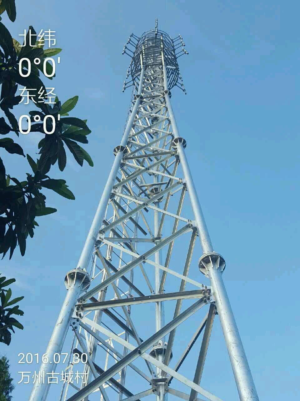 专业仿生树通讯塔